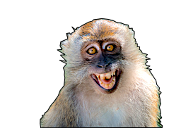 Image of a primate